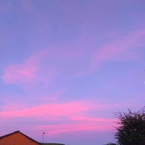 肥女巨肥BBWBBWBWHD
