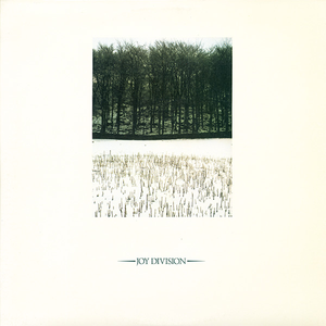 肥女巨肥BBWBBWBWHD
